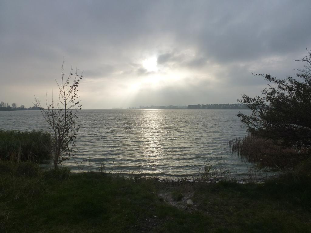 Strandlaeufer Zempin Kamer foto
